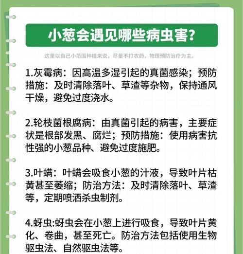 分葱种的最佳播种时间是什么时候？