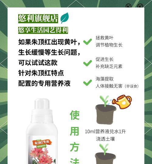朱顶红杀菌和养护的正确方法？
