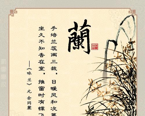 菊梅栽培的关键技术要点是什么？