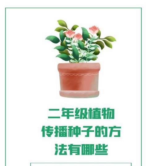 哪些植物通过茎部传播种子？