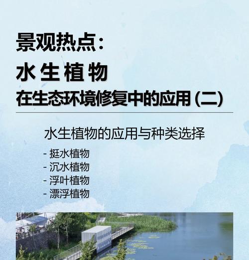 乐山水生植物种类有哪些？如何进行养护？