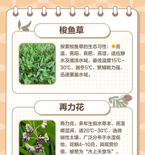 乐山水生植物种类有哪些？如何进行养护？