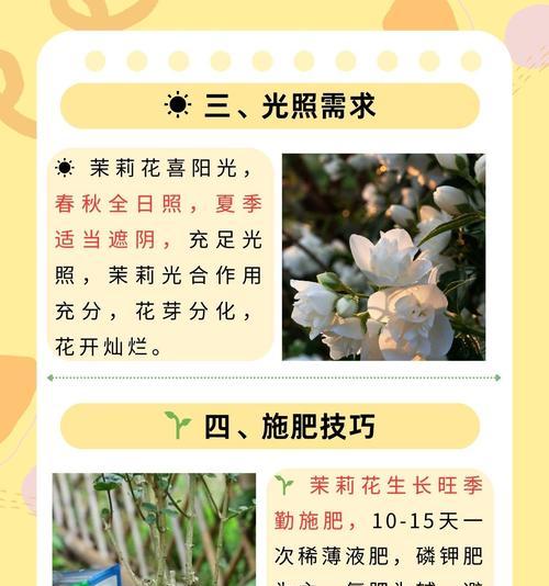 多浇水的正确方法和注意事项是什么？