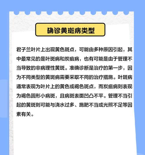 君子兰叶斑病害的预防方法有哪些？