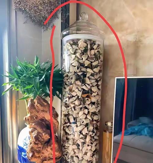盆景玻璃罐子怎么清洗？如何清洁盆景玻璃罐子？