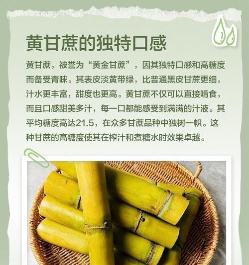 甘蔗叶子中间白杆发黄的原因是什么？