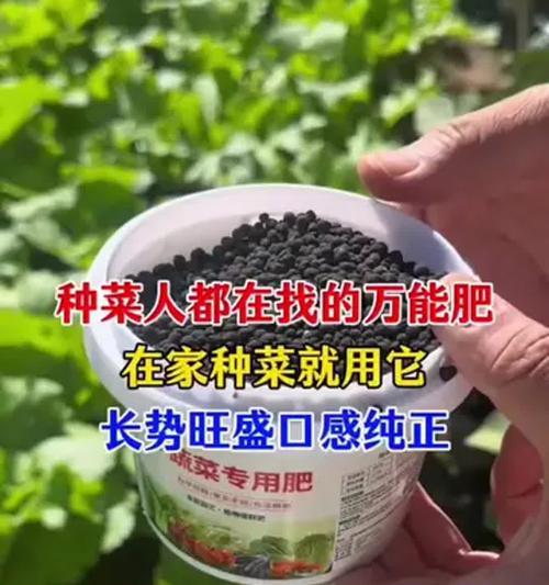 病菜施肥的正确技巧有哪些？