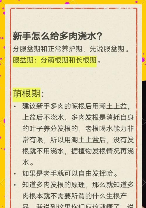 五指山植物的正确浇水技巧？