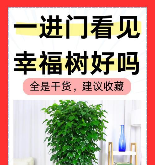 木本植物出现卷叶现象怎么办？如何预防和处理？