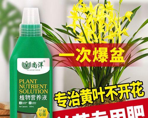 君子兰专用托架使用方法是什么？