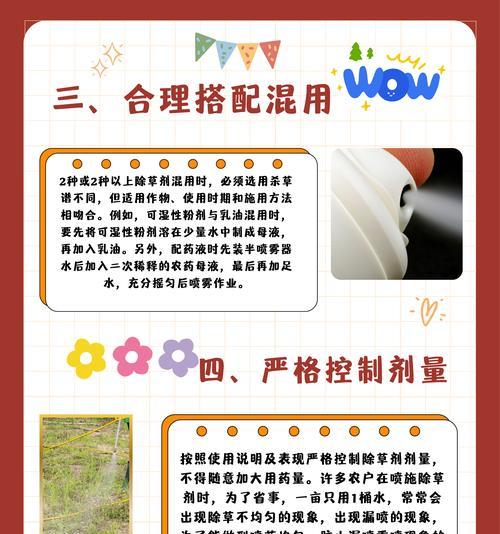 高温下播种玉米需要注意哪些事项？