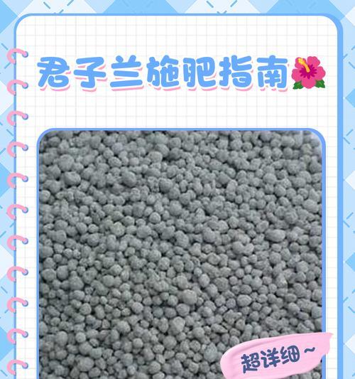 君子兰液体肥料的配制方法是什么？