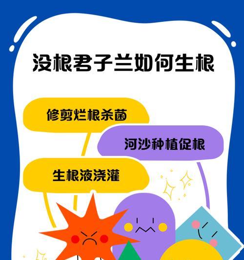 君子兰空根的特征及处理方法是什么？