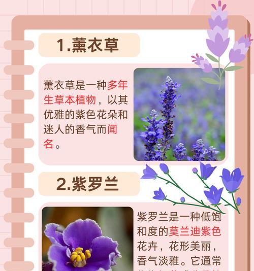 有哪些多色的观赏植物？多色观赏植物的种类和特点是什么？