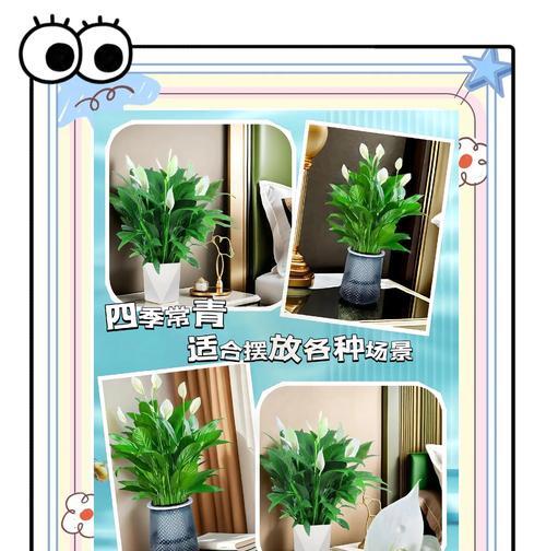 白展叶子发黄是什么原因？如何有效解决？