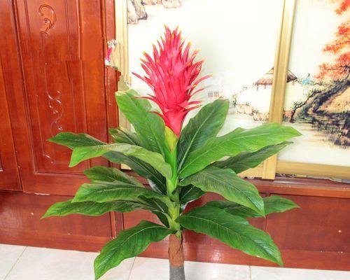 绿色盆景假花怎么养护？假花的日常维护方法？