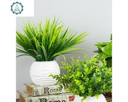 绿色盆景假花怎么养护？假花的日常维护方法？