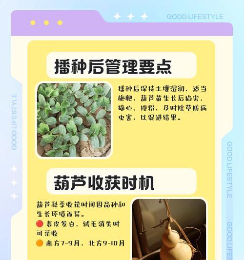 手推播种器为何会出现漏播现象？
