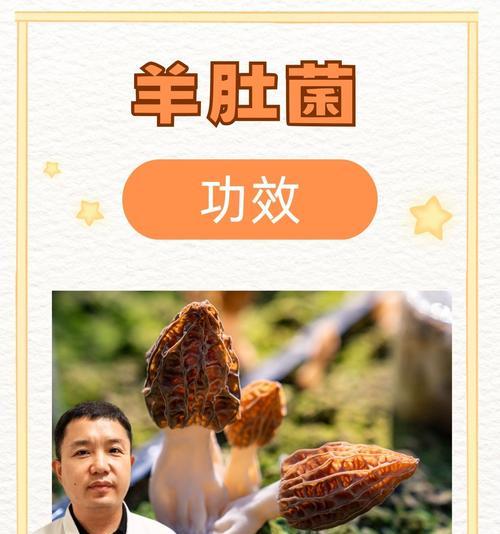 羊肚菌栽培技术的参考文献有哪些？