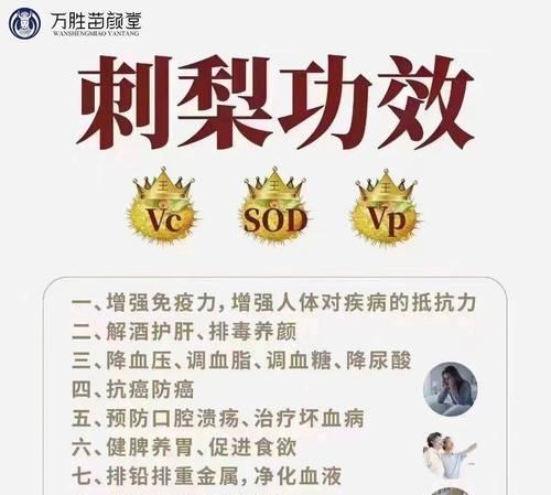 刺梨原生盆景养护技巧有哪些？怎样保持其健康生长？