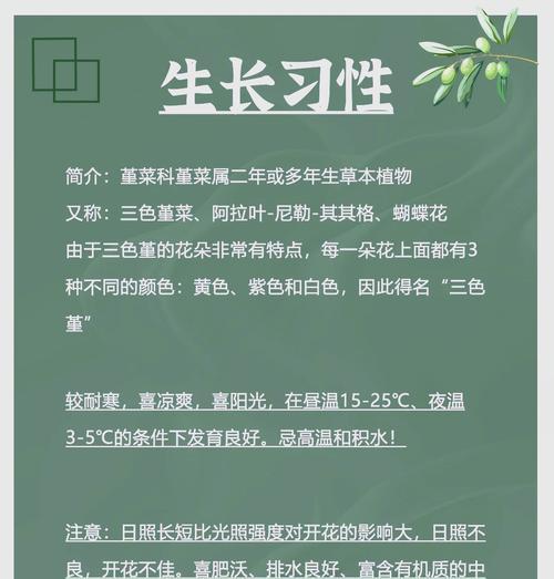 三色堇冬天播种时间？如何确保冬天也能开花？