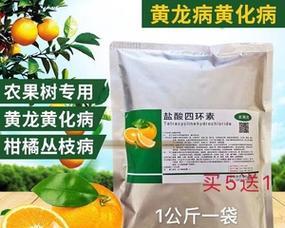 马拉巴栗叶子黄化应如何修剪？