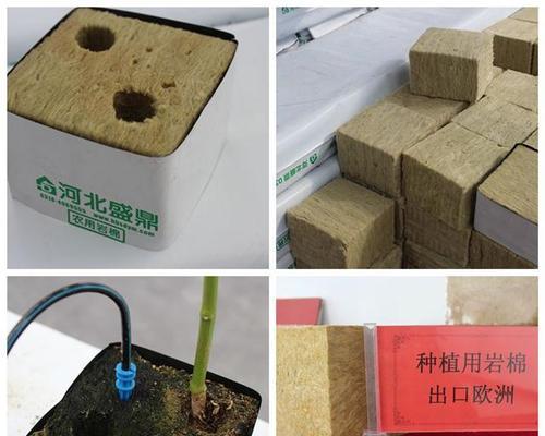 岩棉栽培技术课程内容有哪些？如何报名参加？