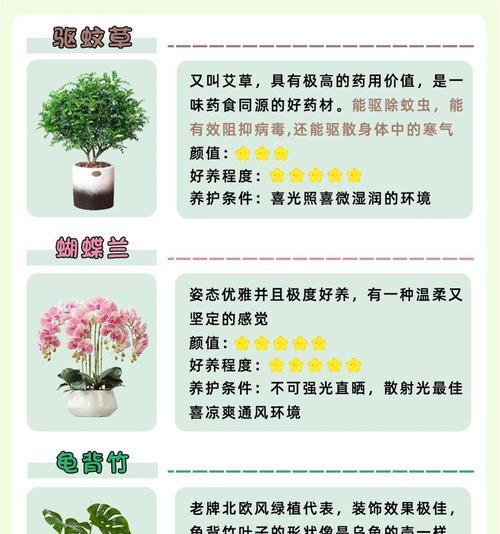 浅盆常绿盆景的养护方法是什么？如何保持其常绿状态？