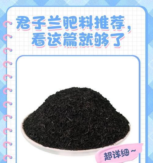 君子兰干根后应使用哪种肥料进行恢复？