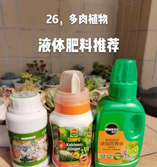 如何自制适合温泉植物的肥料？