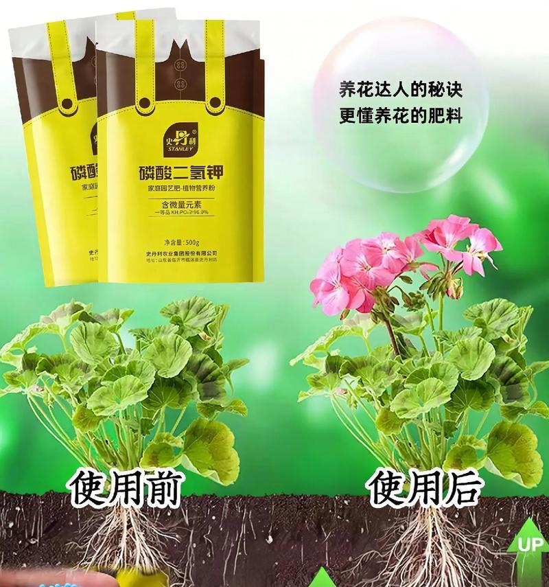 如何自制适合温泉植物的肥料？