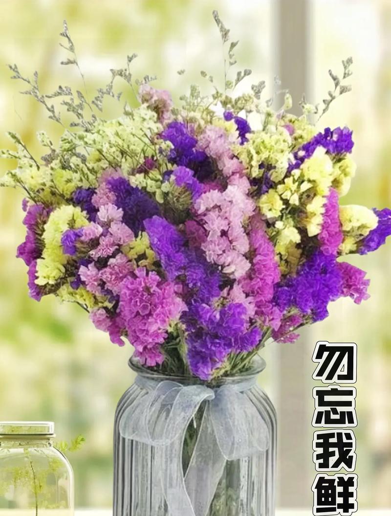 勿忘我的花语含义是什么？勿忘我花的象征意义有哪些？