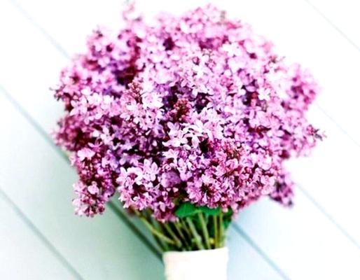 手捧花颜色各自代表什么寓意？它们的含义是什么？