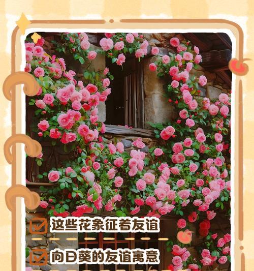 绿花的象征意义和含义是什么？