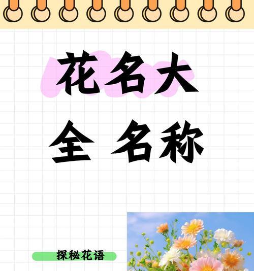 花戎怎么读？它的含义是什么？