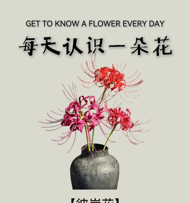 半夏花语有何含义？花语中半夏的象征意义是什么？