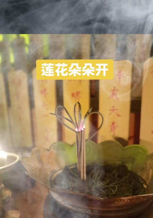 9瓶可乐花的花语是什么？它的寓意是什么？