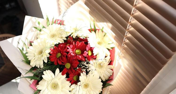 师生情象征的花是什么？师生之间送什么花最合适？