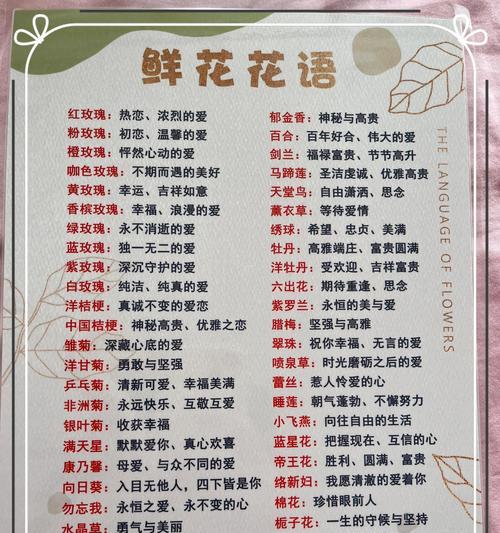 粉玫瑰花语是什么？浪漫与柔情的表达！