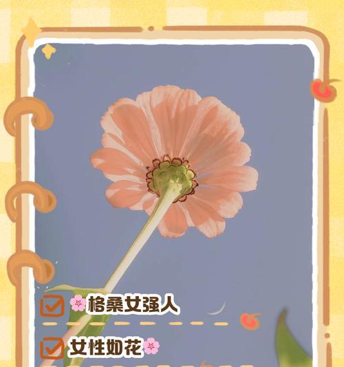格桑花象征什么？格桑花的寓意是什么？
