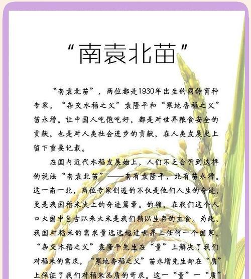 稻谷花的含义是什么？它在农业文化中扮演什么角色？