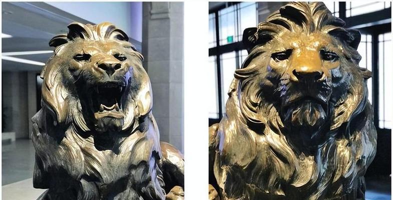 狮子象征勇敢的花朵有哪些？它们各自代表了什么？
