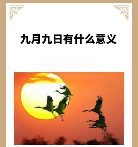 太阳花象征意义的诗句是什么？它们有哪些？