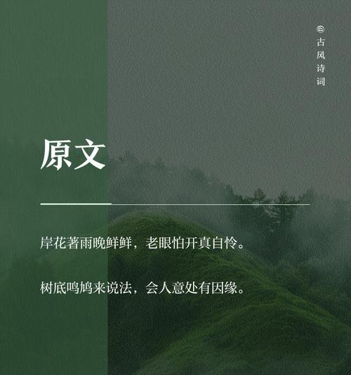 岸边花的含义是什么？岸边花代表了哪些意义？