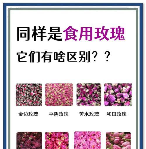 10朵玫瑰花的含义是什么？它们在表达爱意时的常见问题有哪些？