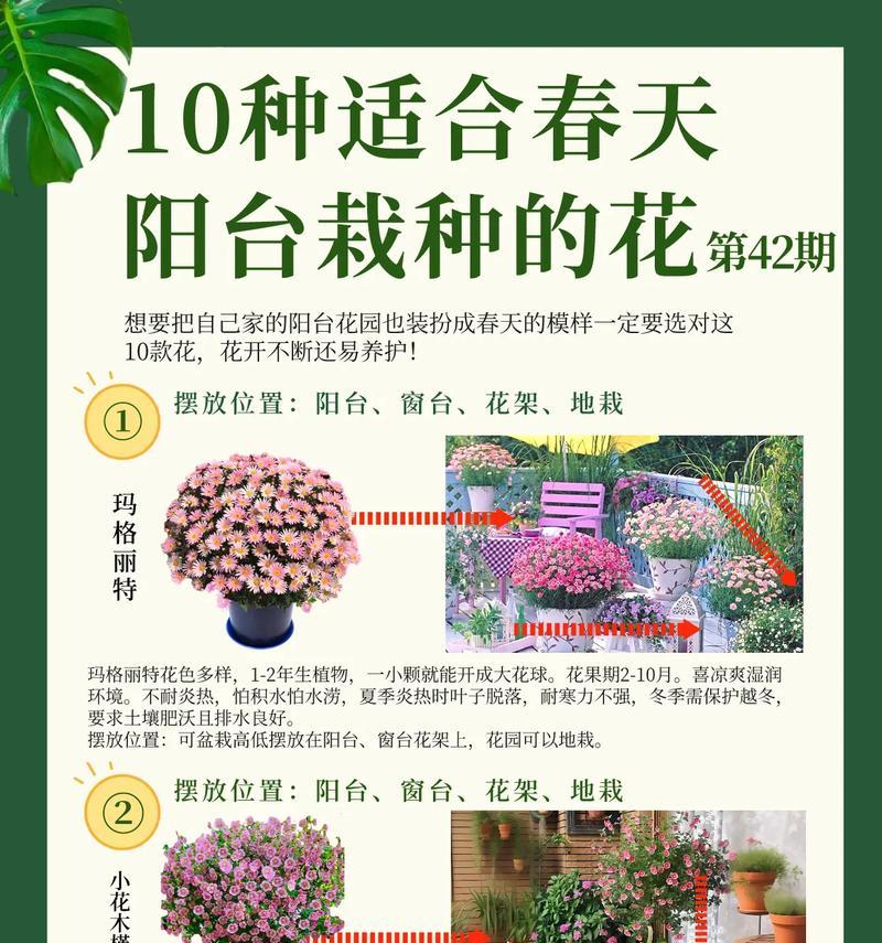 哪些花的花语代表浪漫？浪漫花卉的选择与摆放指南？