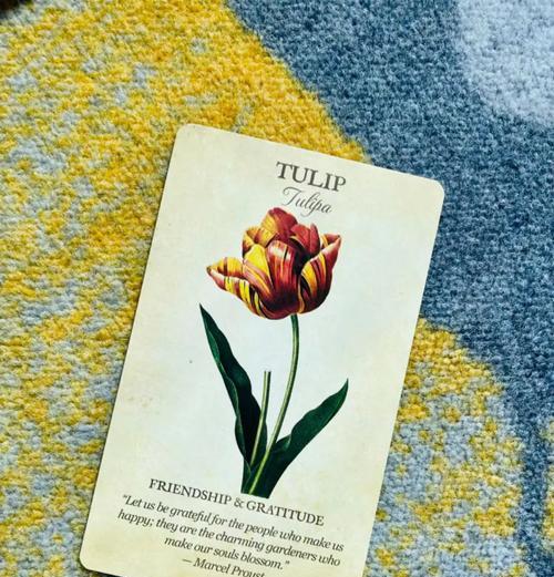 tulip花语代表什么？如何用tulip花语表达爱意？