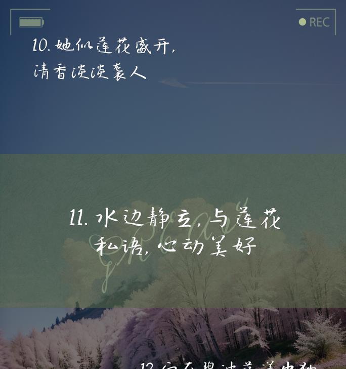 莲花语是什么意思？莲花象征着什么？
