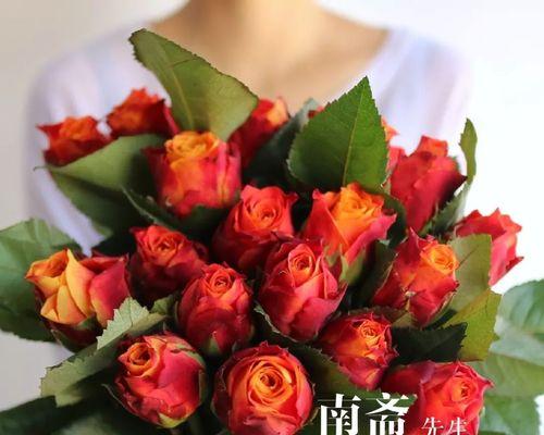网名“玫瑰之花”有何含义？它象征着什么？