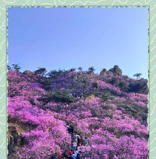 杜鹃花象征春天的有哪些？这些花代表了什么？
